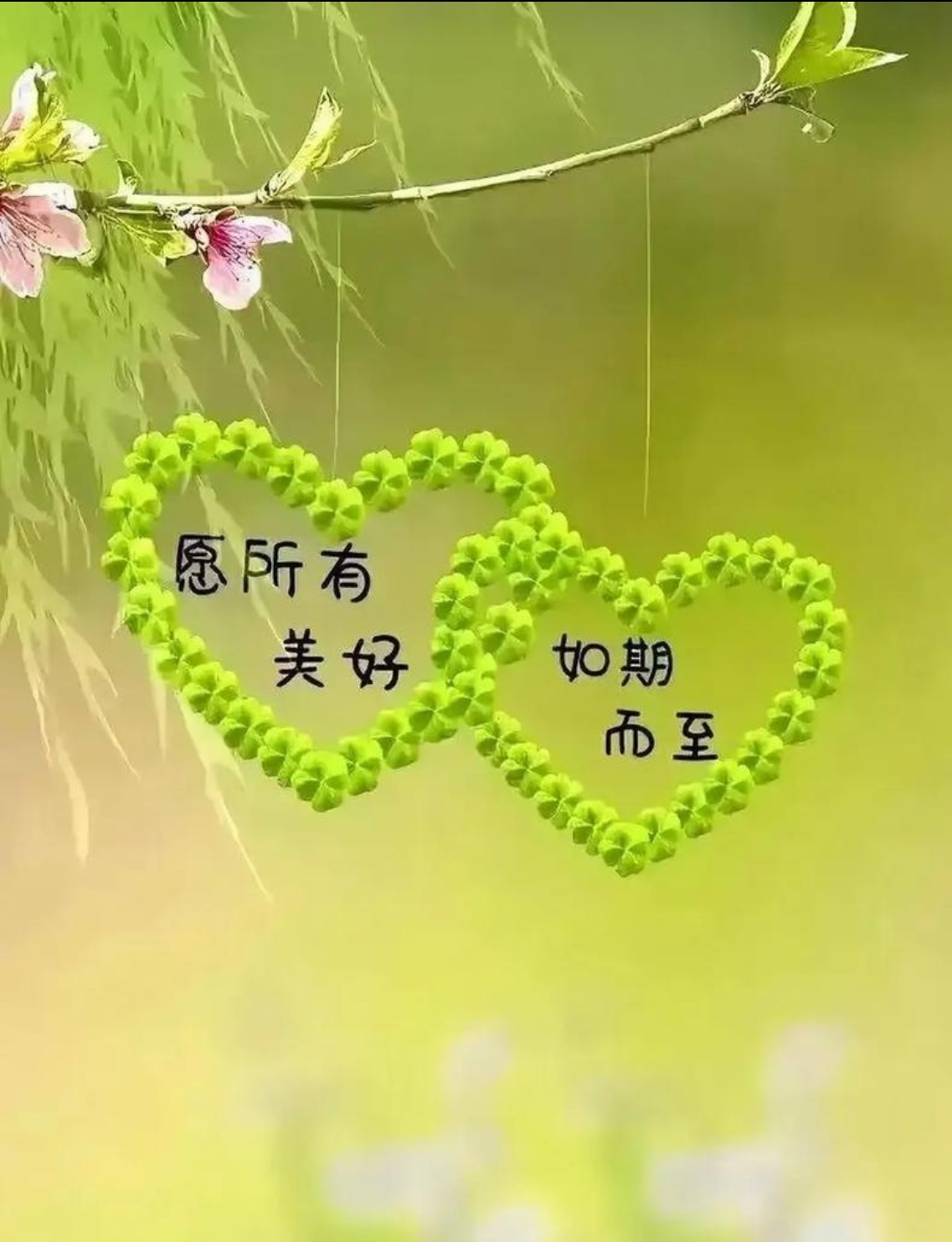 廿载情谊，重逢见暖阳
