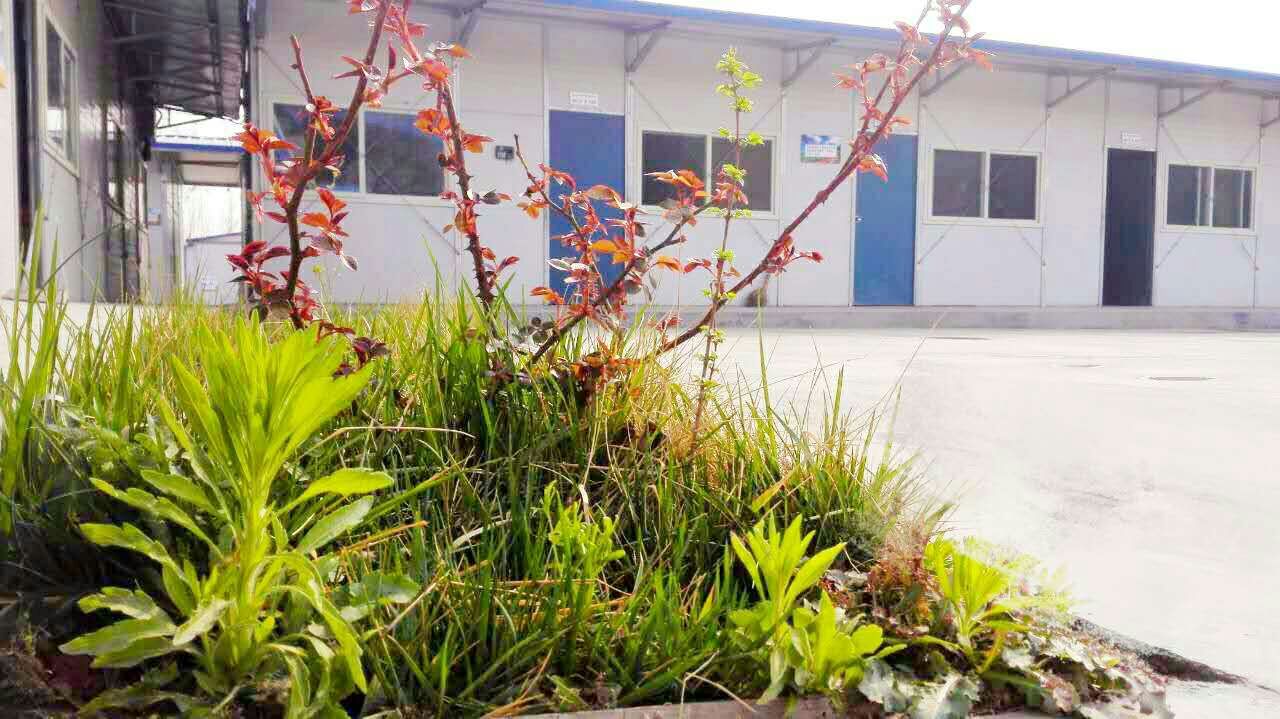 澳门正规电子游戏平台