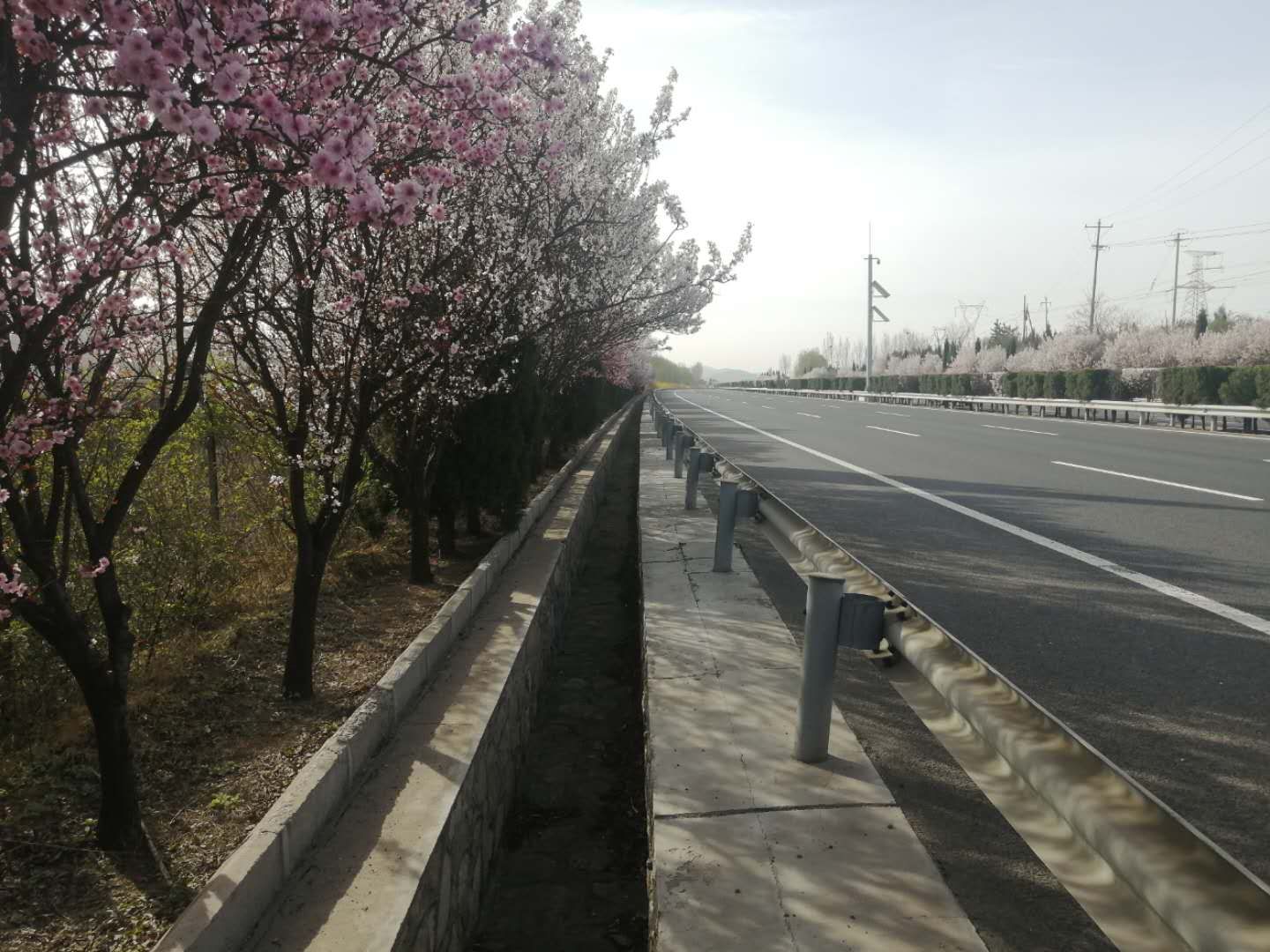 澳门正规电子游戏平台